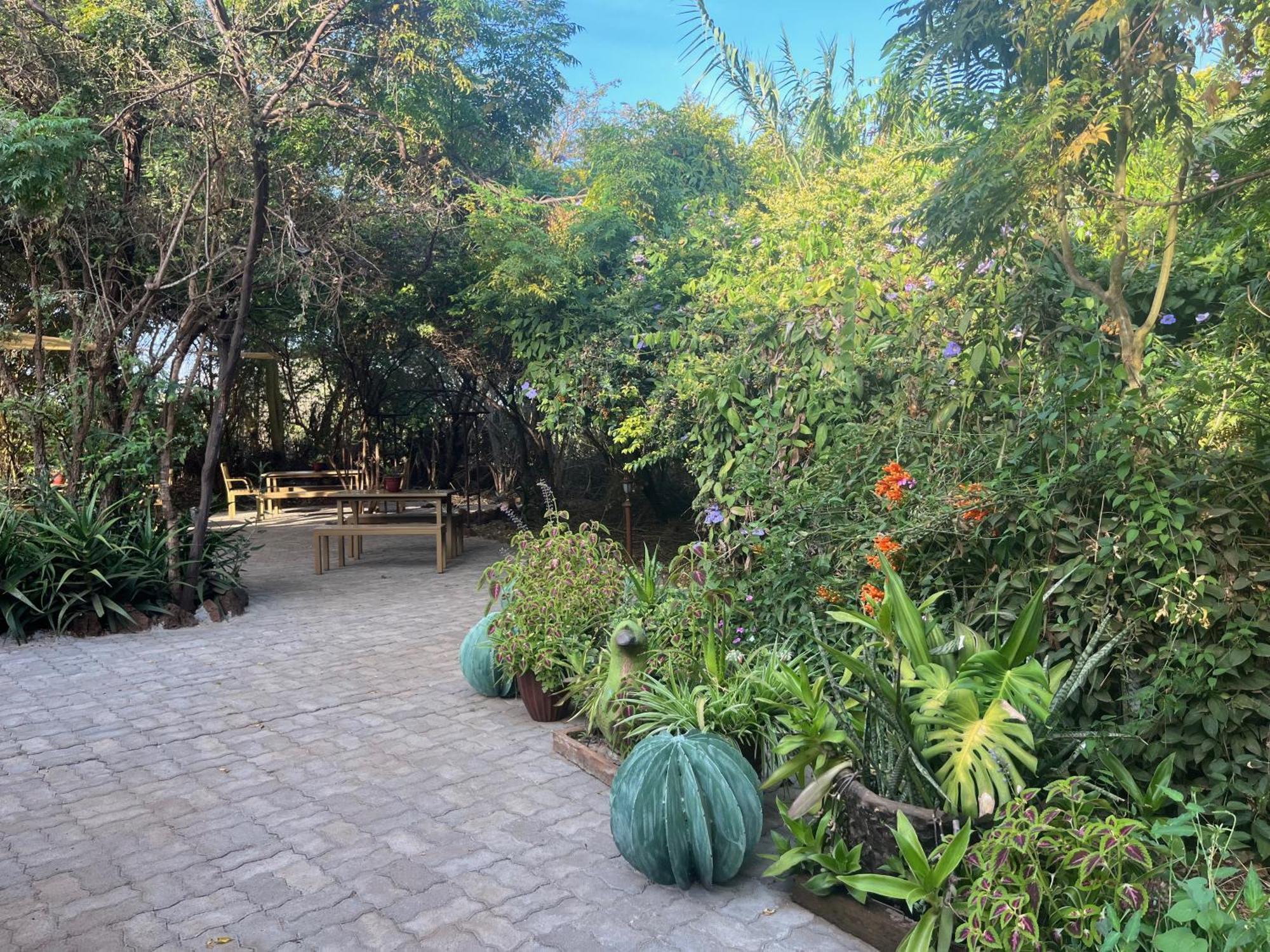 Ikweta Safari Camp Hotel Maua Luaran gambar