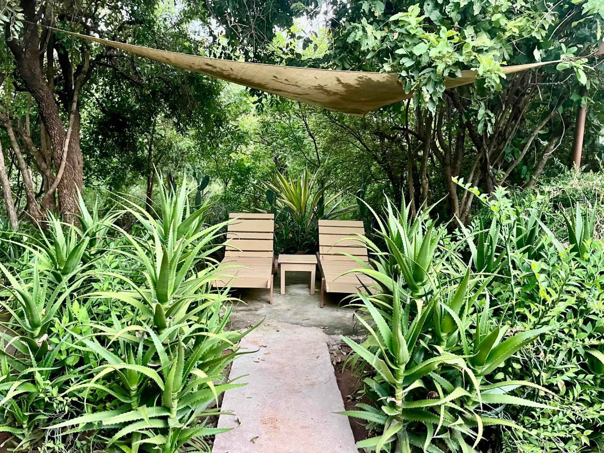 Ikweta Safari Camp Hotel Maua Luaran gambar
