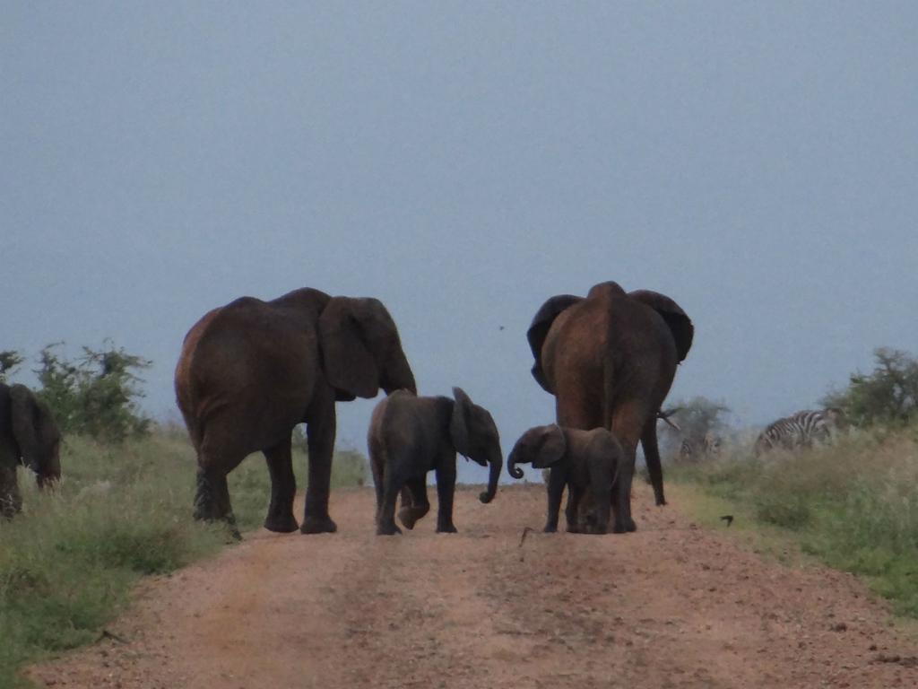 Ikweta Safari Camp Hotel Maua Luaran gambar