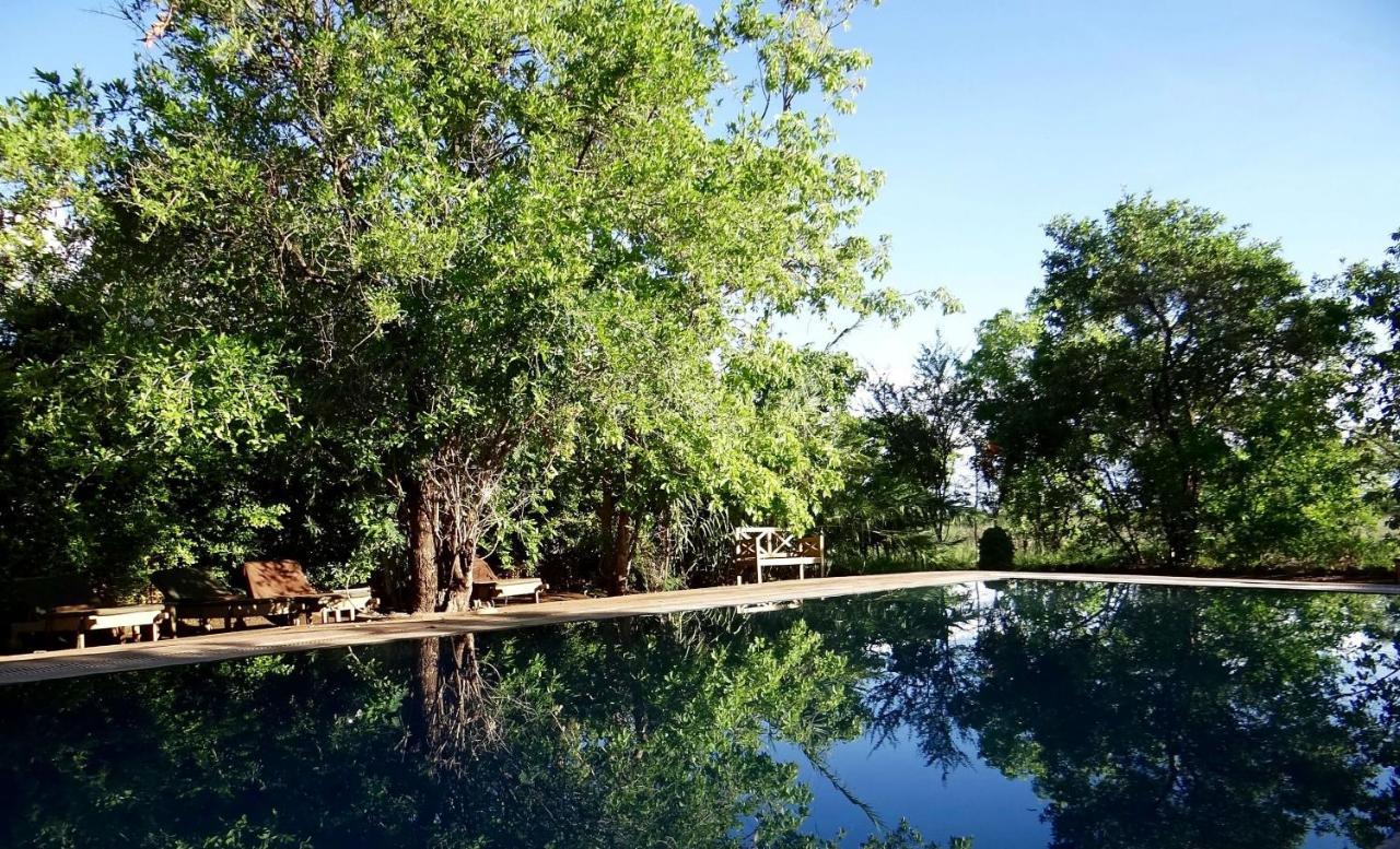 Ikweta Safari Camp Hotel Maua Luaran gambar